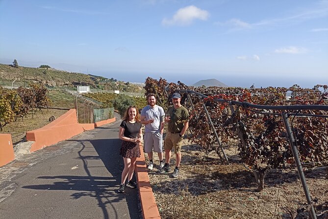 Wine, Canarian Tapas, Culture, VIP Private tour - photos included - Stop 4: Playa de El Roque, cave houses and black sand by the Atlantic