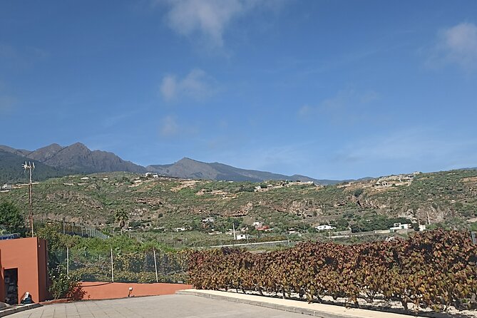 Wine, Canarian Tapas, Culture, VIP Private tour - photos included - Theo’s storytelling and why the photos feel more intentional