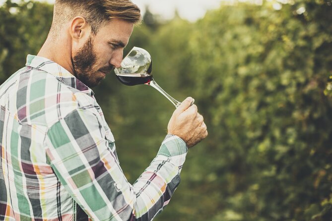 Winery Tour and Tasting in Tenerife with the Sommelier - Why a Tenerife sommelier tasting beats casual wine sipping