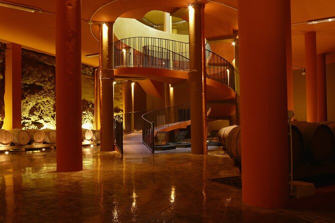 Winery Tour and Tasting in Tenerife with the Sommelier - Vineyard stroll: what to expect on a clear day versus rain