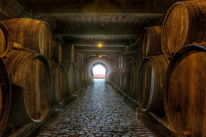 Winery Tour and Tasting in Tenerife with the Sommelier - Language and hosting: what you can learn from past hosts like Roberto