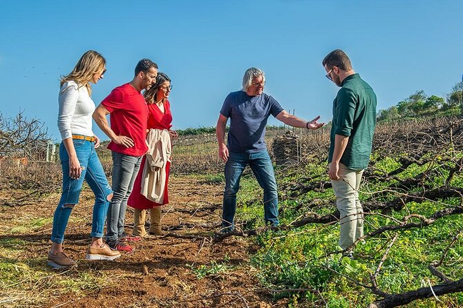 Winery Tour and Tasting in Tenerife with the Sommelier - The hills and the Tacoronte-Acentejo focus