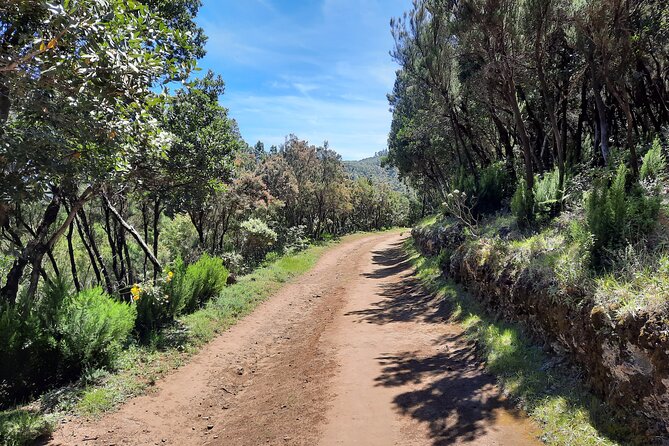 Wonderful hike through the Magic Forest of Tenerife - Views you’ll get: ravines, volcano terrain, and the coast