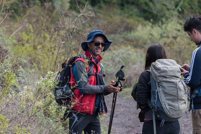 Wonderful hike through the Magic Forest of Tenerife - Timing, meeting point, and how to plan the half-day