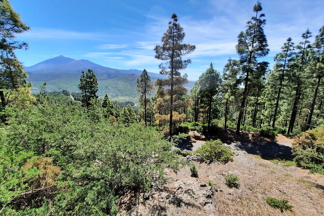 Wonderful hike through the Magic Forest of Tenerife - Price and value: what you’re paying for